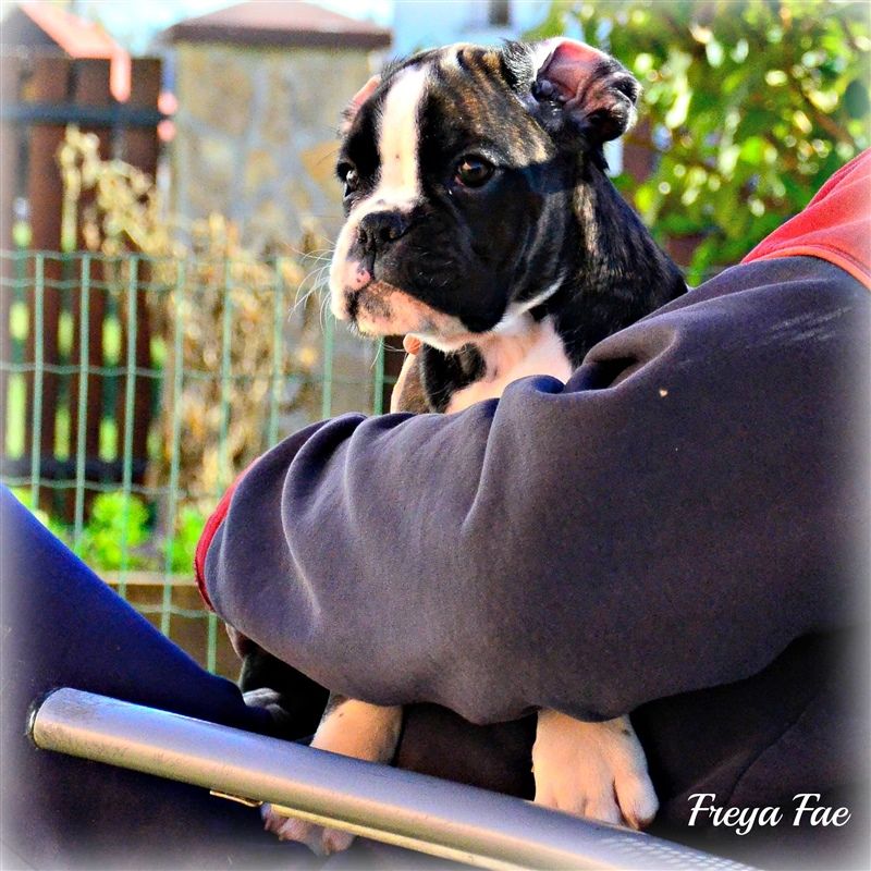 9 weeks